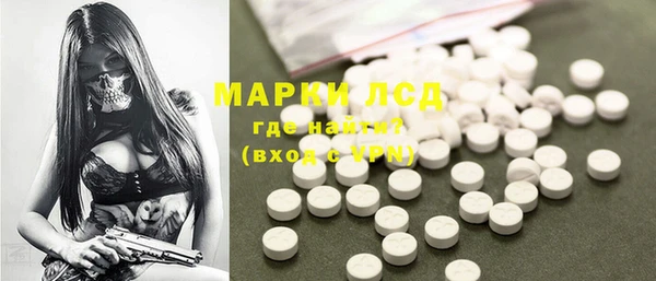 крисы Надым
